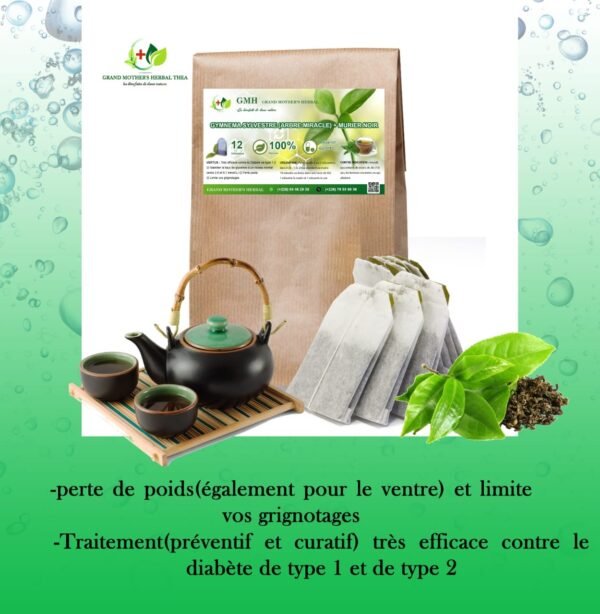 Gymnema Sylvestre